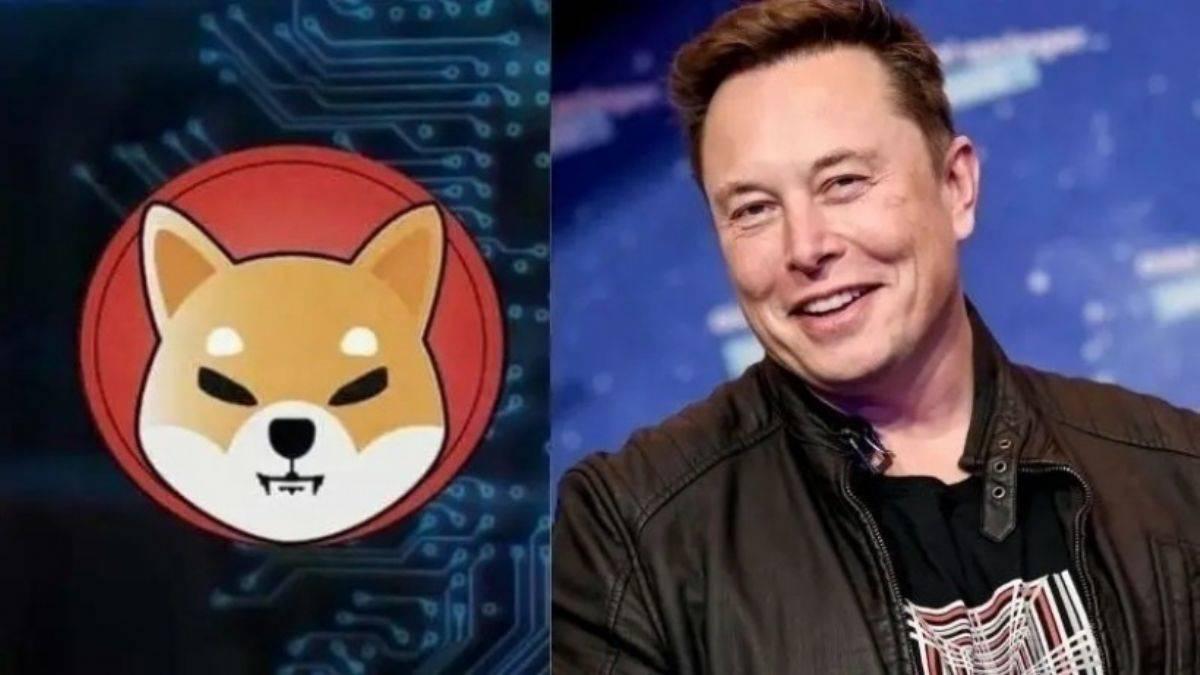 Elon Musk fotoğrafını paylaşmıştı, kripto para birimi Shiba Inu rekor kırdı 