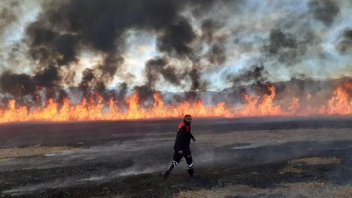 Birçok kuş türünün yaşadığı Nehil Sazlığı'nda yangın 