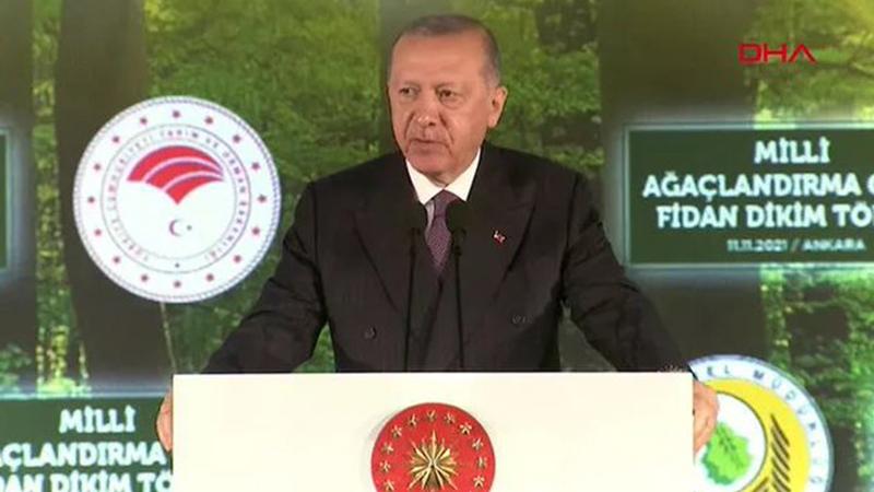 Erdoğan: Yangınlara karşı tarihimizdeki en zengin hava filosunu kurduk