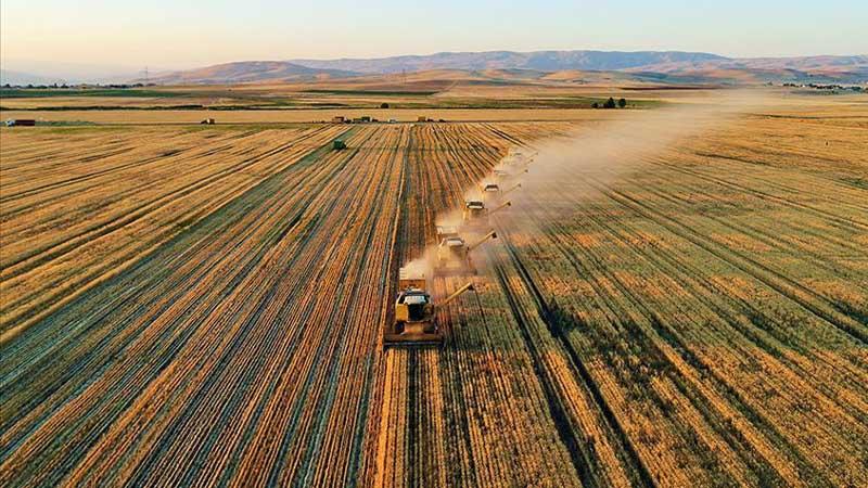 Tarımda üretici enflasyonu yıllık yüzde 24,35 arttı