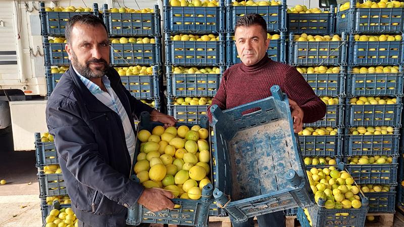 Kasanın fiyatı, içindeki limonu geçti