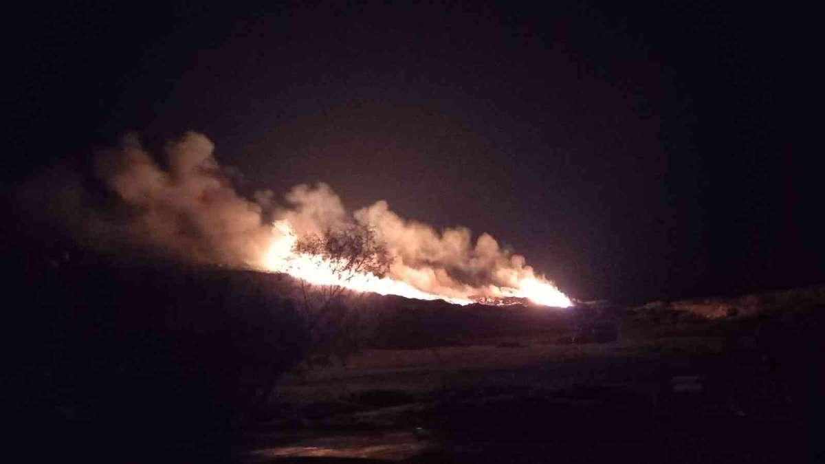 Bodrum'da çıkan yangında 2 dönüm alan zarar gördü 