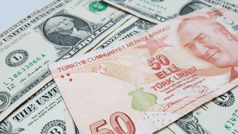 Dolarda yükseliş, Türk Lirası'nda kayıp sürüyor!