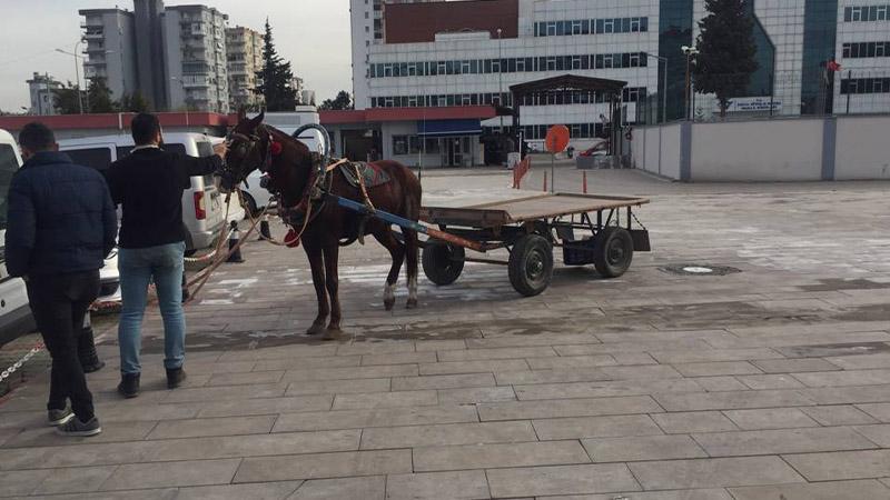 At arabasında uyuşturucu satan baba oğul tutuklandı