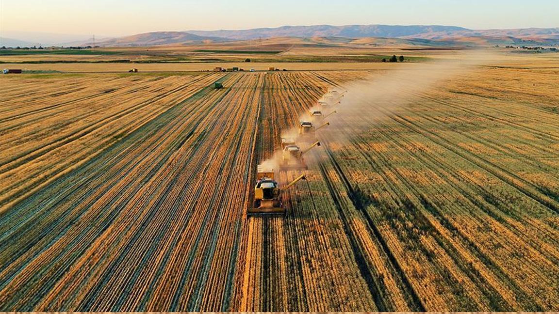 Tarımsal girdi fiyat endeksi yıllık yüzde 45,61 arttı