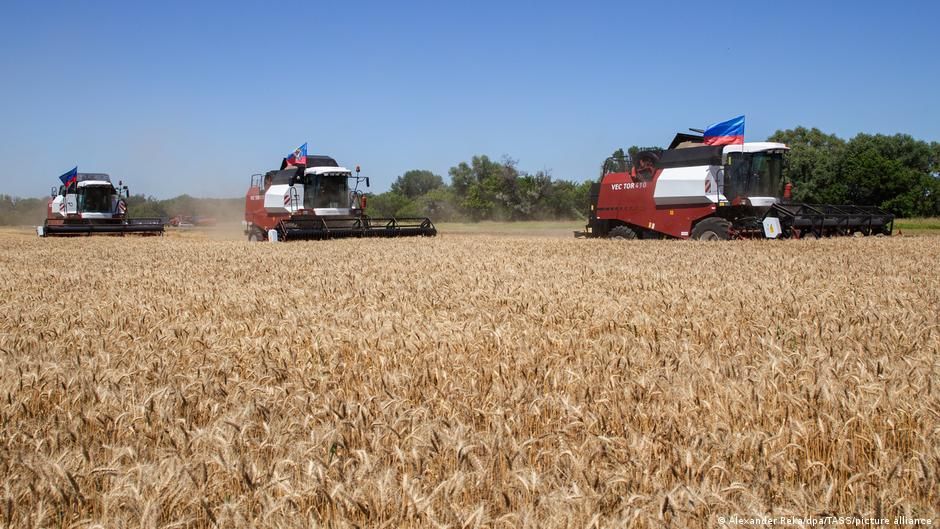 FAO: Gıda ve yem fiyatları yüzde 20 artabilir