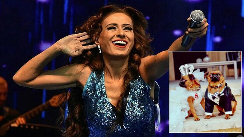 Ertuğrul Özkök: Yıldız Tilbe öldürtmediği köpeklere 25 bin dolarlık düğün yapar mı?