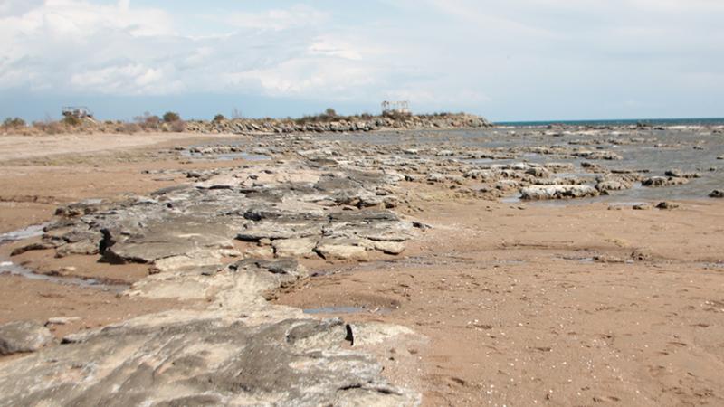 Antalya'da kıyılarda deniz suyu çekildi: Hava düzelince normale dönecek