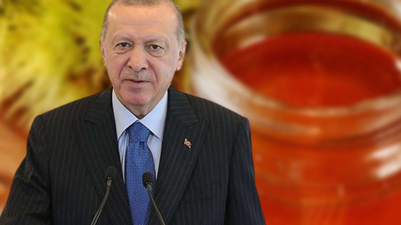 Korkusuz yazarı Ataklı: Erdoğan, hazırladığı o karışımı yiyemez