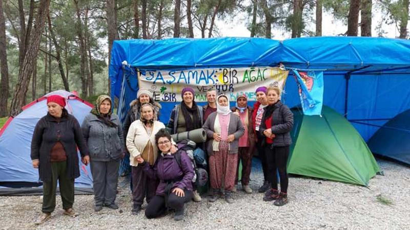 Akbelen’de direniş kazandı: Sökülen ağaçlar geri dikiliyor