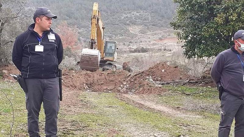 Prof. Dr. Ünal Akkemik: Sökülme işlemi zeytin ağacına zarar verir çünkü işlem sırasında kökler kopuyor