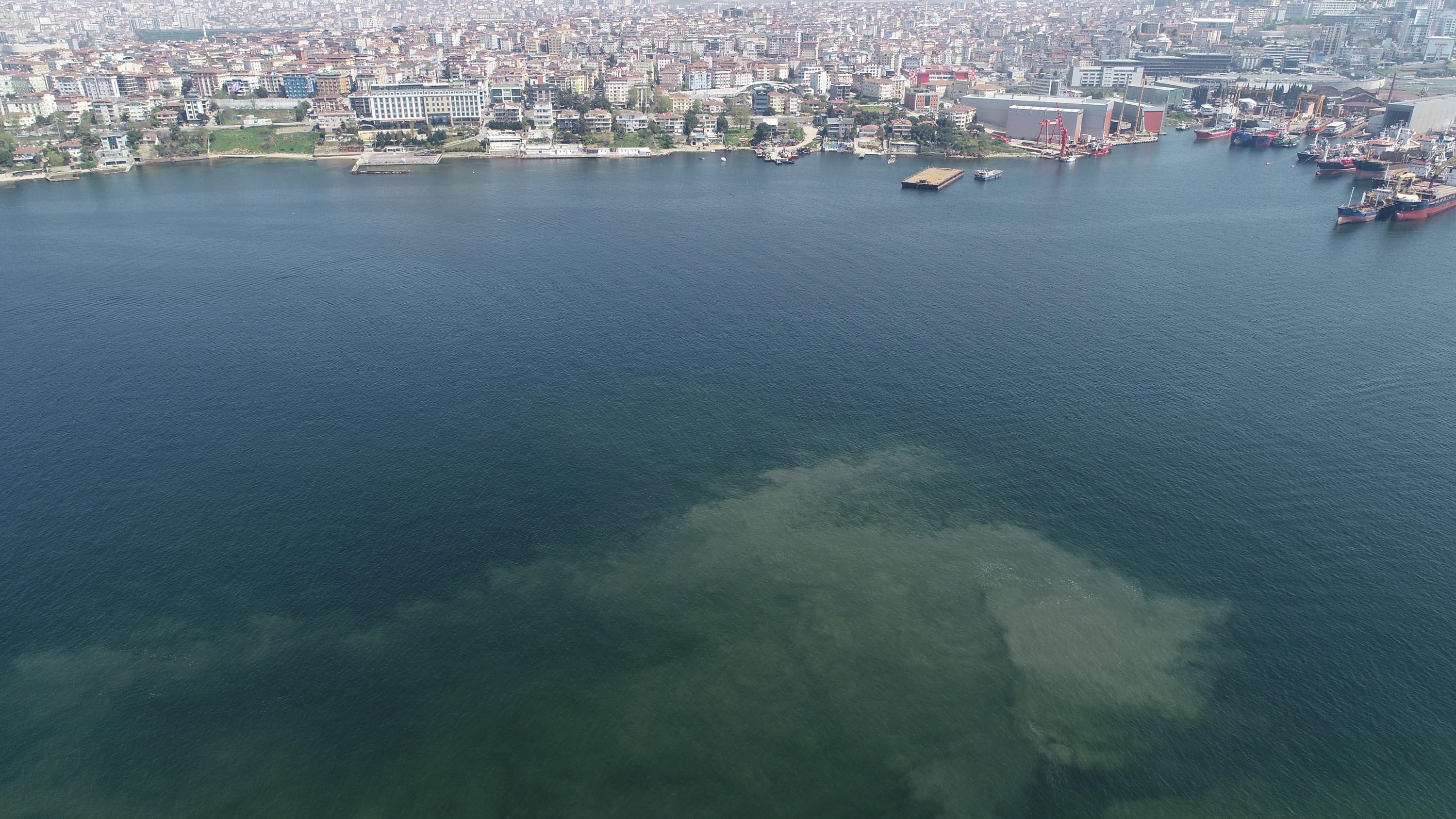 Marmara Denizi’nde Kirlilik ve oksijen azlığı devam ediyor!