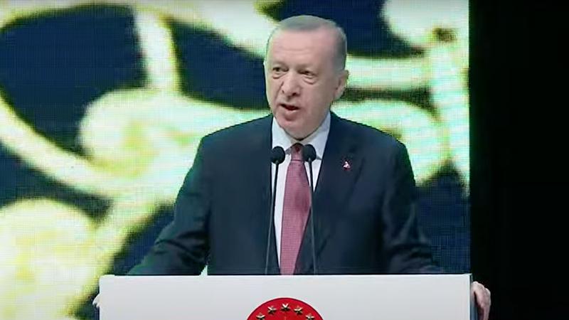 Cumhurbaşkanı Erdoğan: Avrupa'daki seçimlerde ırkçı partilerin iktidara ortak olma, tek başına iktidara gelme seviyelerine ulaşmış olmaları kaygı verici