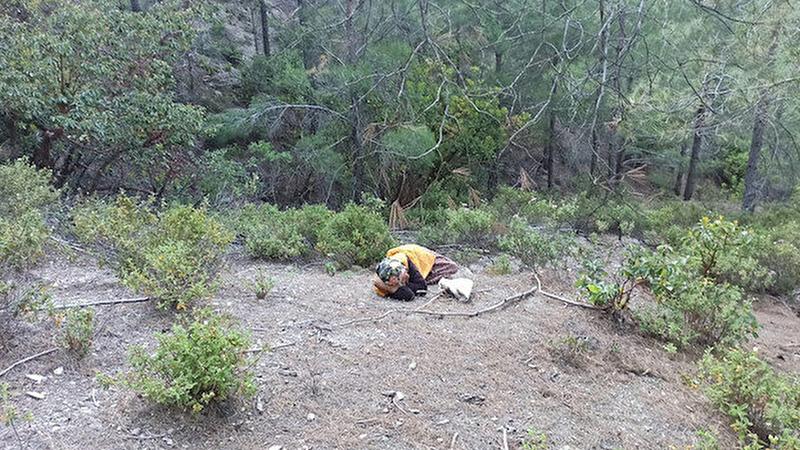 Kayıp olarak aranıyordu ormanda uyurken bulundu