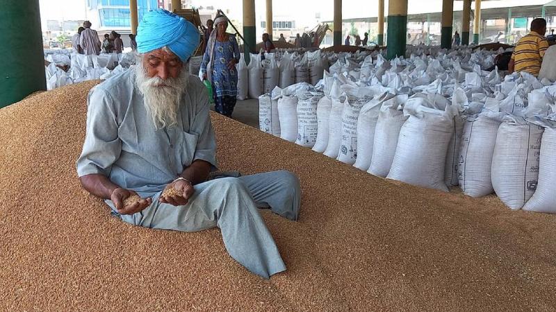 Hindistan buğday ihracatını kısmen yasakladı