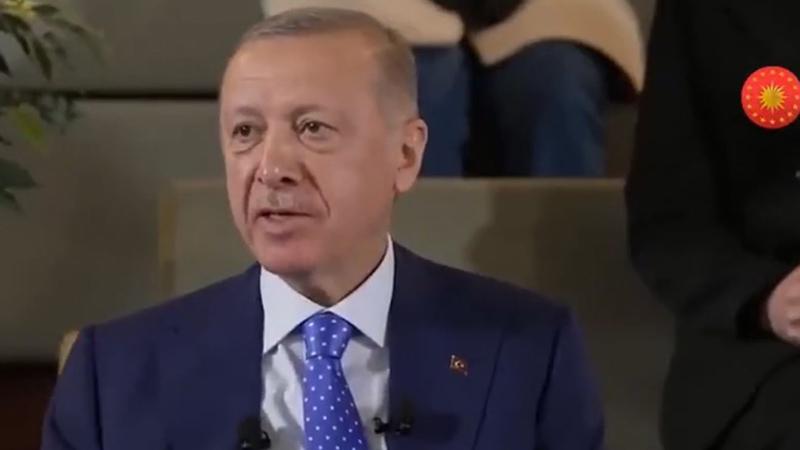 Türkiye'de yaşayan Japon vatandaştan Erdoğan'a: Japonca'da öyle bir atasözü yok