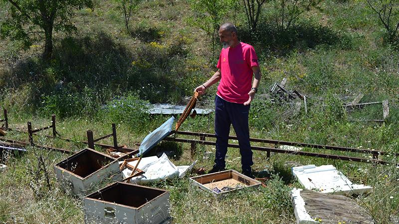 Bilecikli bal üreticisinin kovanları ayılar tarafından parçalandı