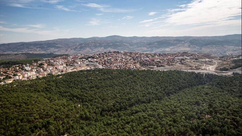 Manisa’da ormanlık alanlara girişler yasaklandı