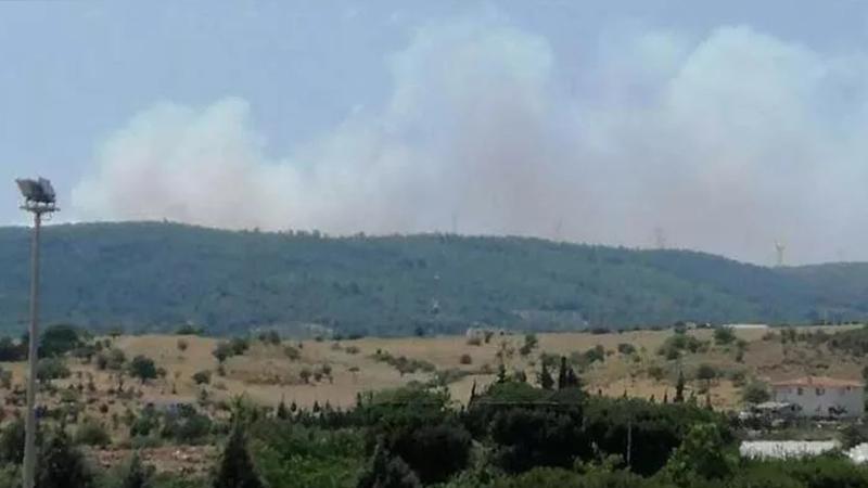 İzmir'de  orman ve makilik alanda çıkan yangın kontrol altına alındı