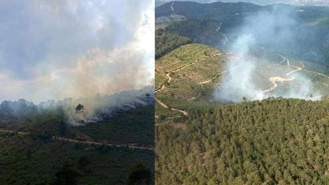 Manisa'da orman yangını