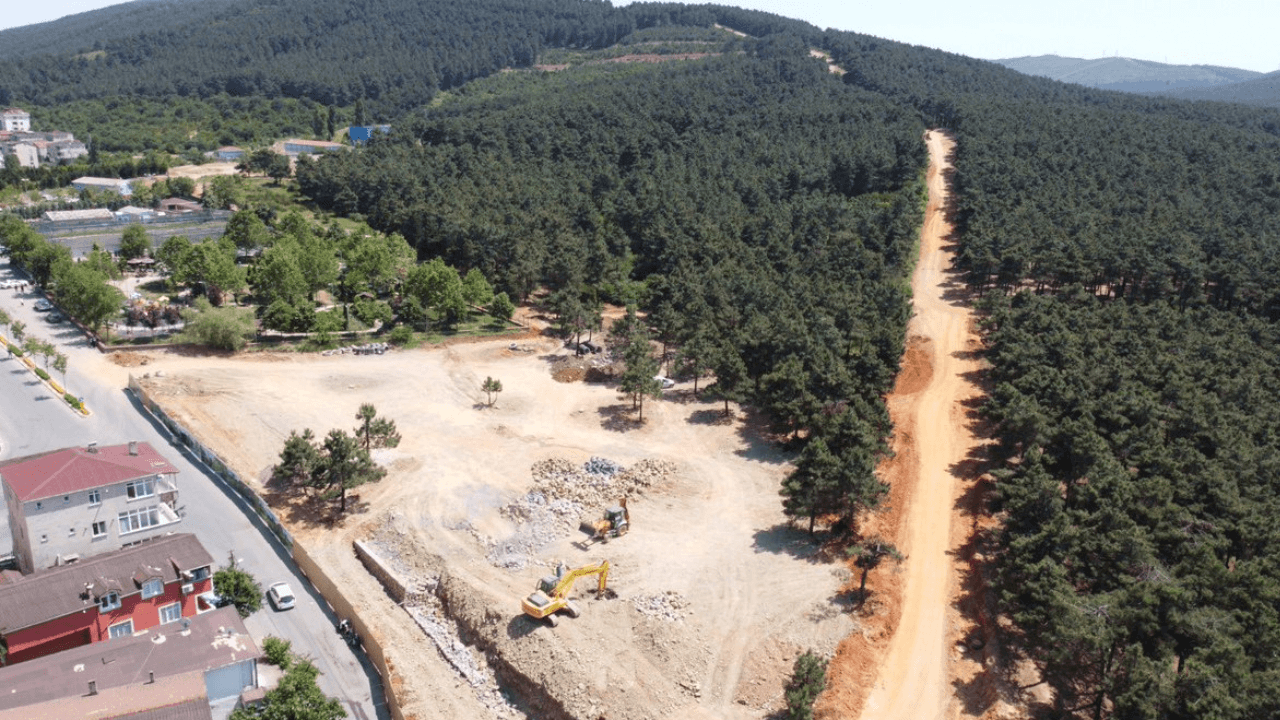 Aydos Ormanı’nda millet bahçesi: Çevre savunucuları ağaç tahribatına karşı çıktı, çalışma şimdilik durdu