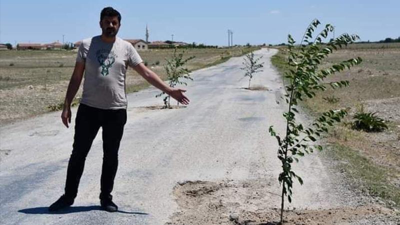 Bozuk yollar, çukurlara ağaç dikilerek protesto edildi