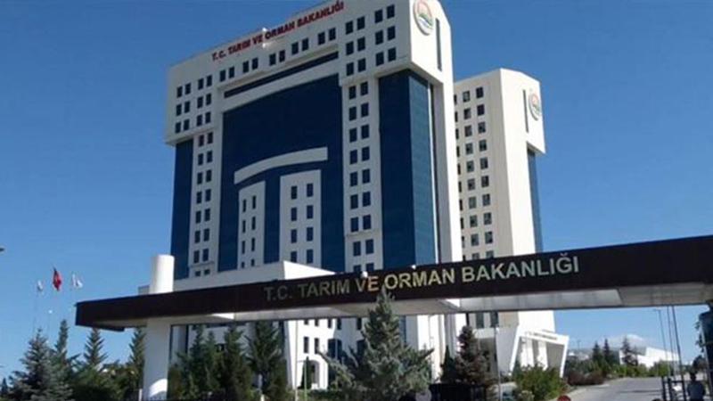 Tarım ve Orman Bakanlığı, 7 bin ton tereyağı ihracatına izin verdi  