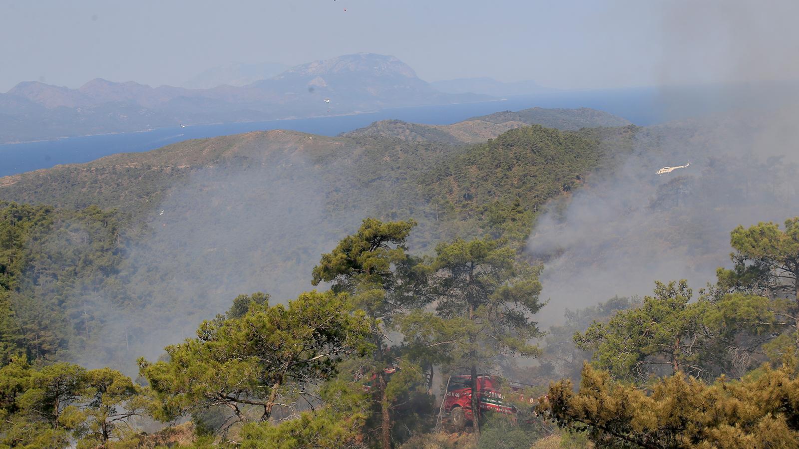 Marmaris'te yanan bölge 2020’de "Yaban Hayatı Geliştirme Sahası" ilan edilmiş: Bu sahanın yaklaşık yüzde 20'si yanmış durumda