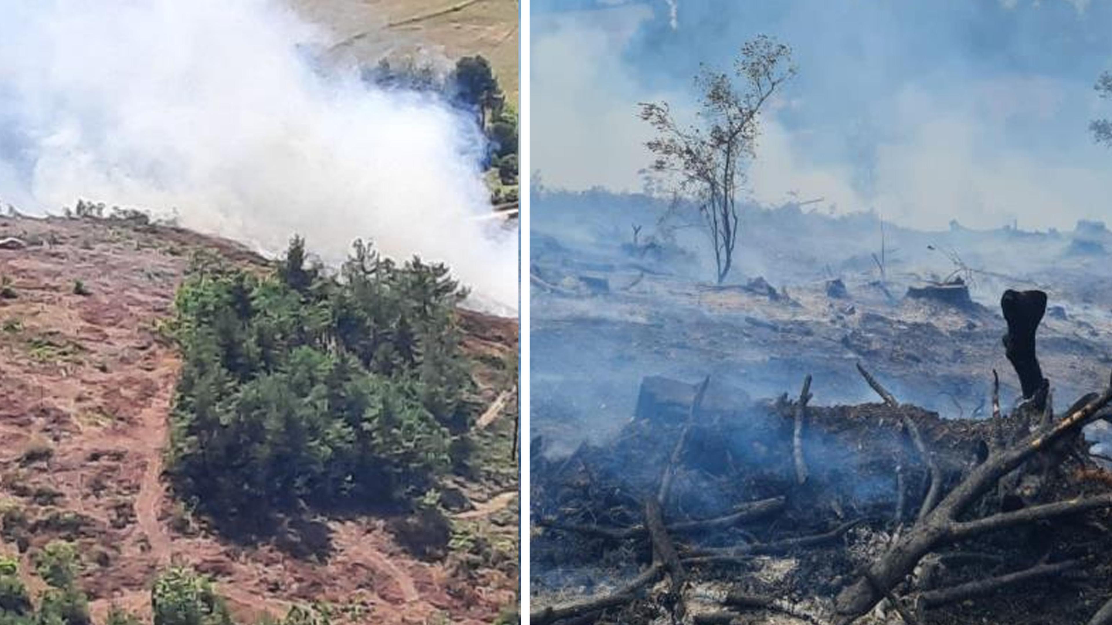 Çanakkale Yenice'de ormanlık alanda yangın