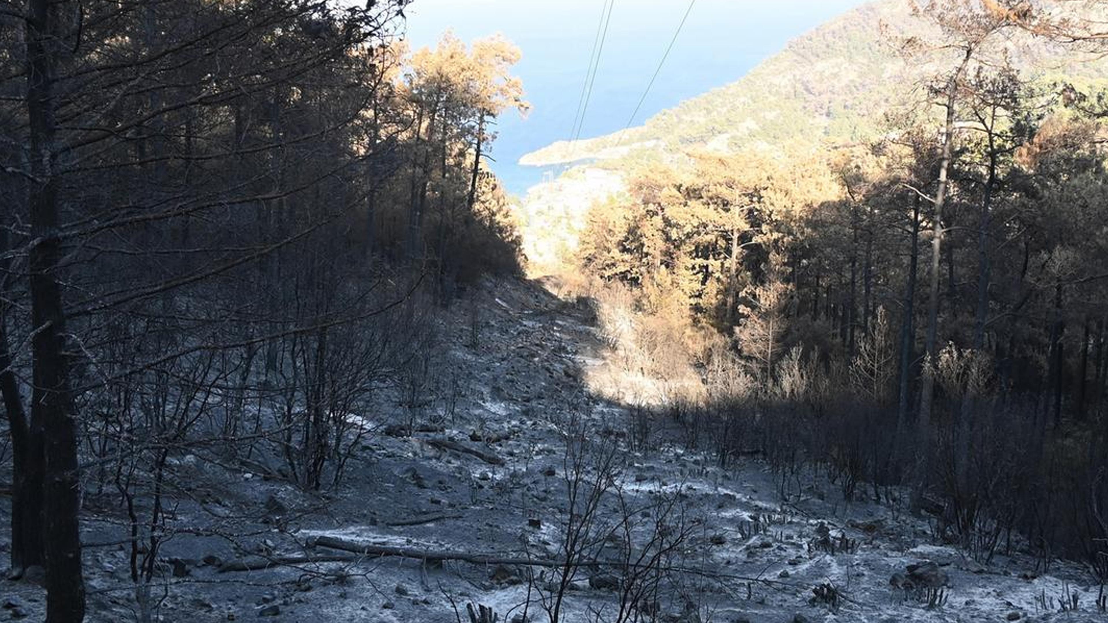 Marmaris'teki orman yangını önlenebilir miydi?