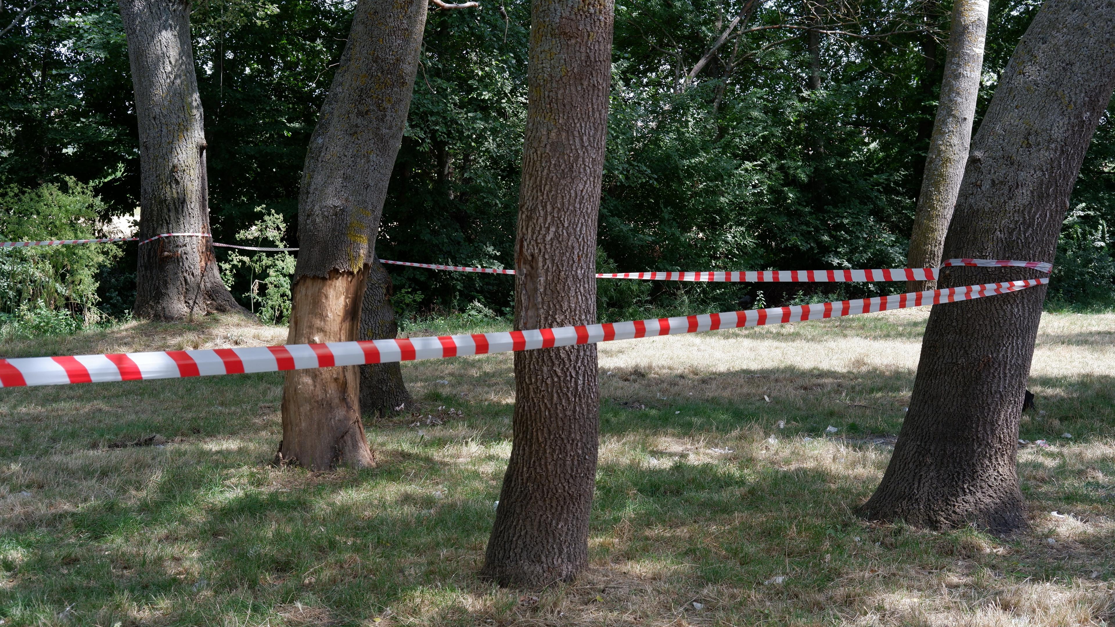 Edirne'de ormanlara giriş 3 ay yasaklandı