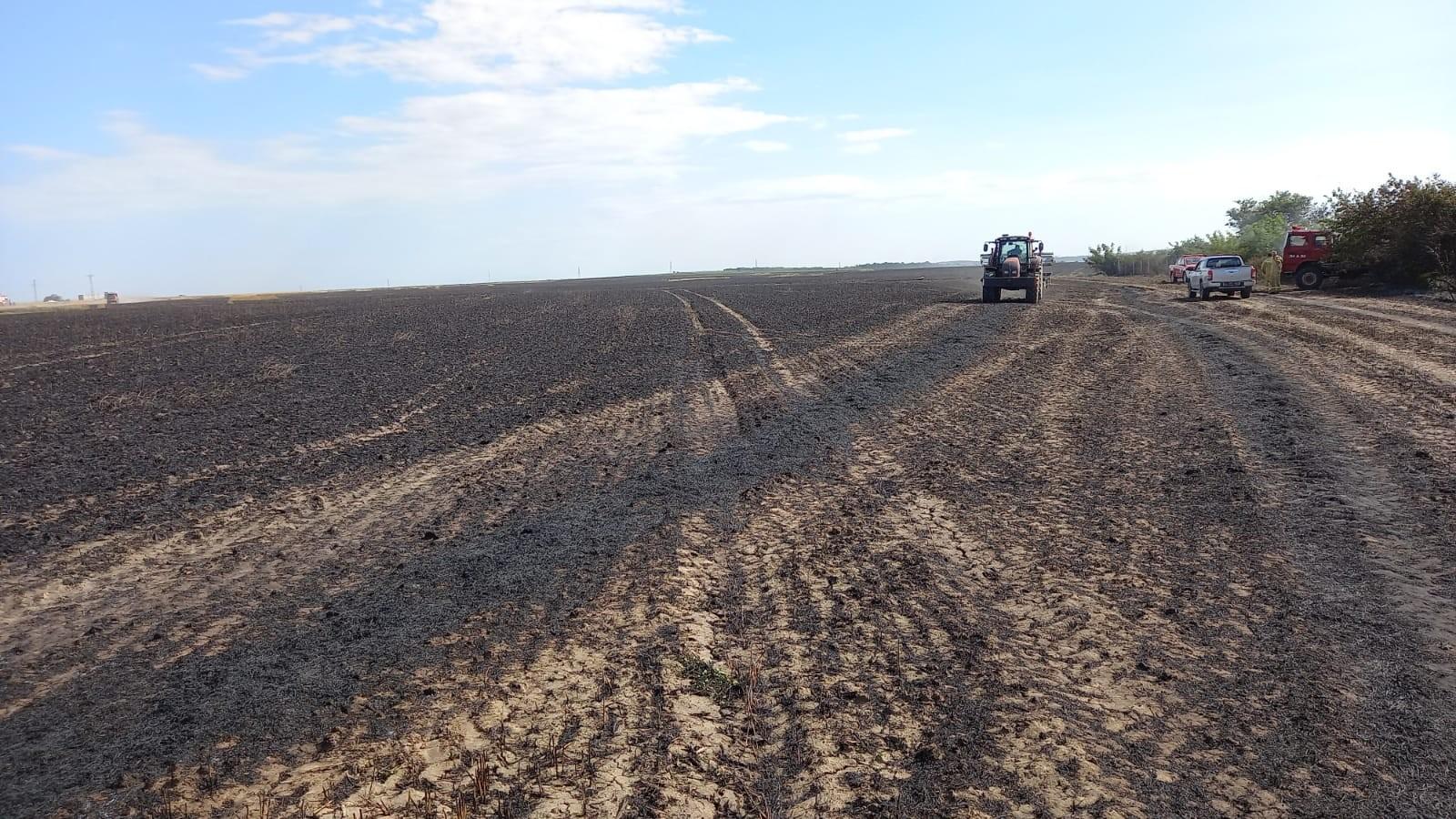 Tekirdağ'da 500 dönüm biçilmemiş buğday küle döndü 