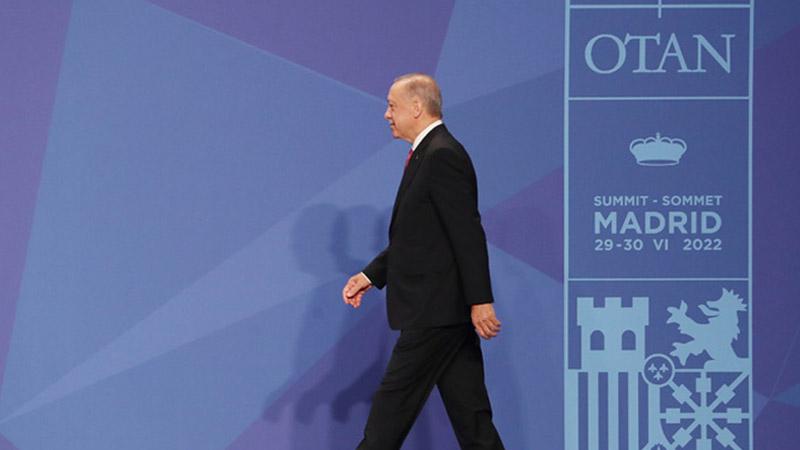 Financial Times yazarı: Erdoğan sinir bozucu ancak vazgeçilemez bir müttefik