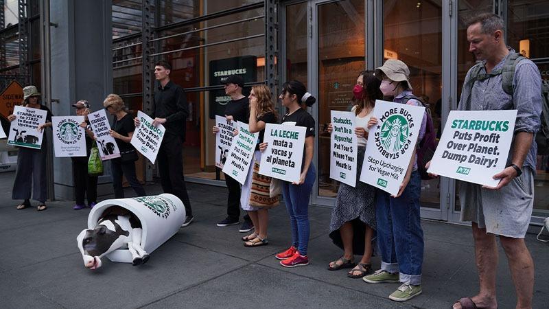 New York'ta, Starbucks karşıtı protesto