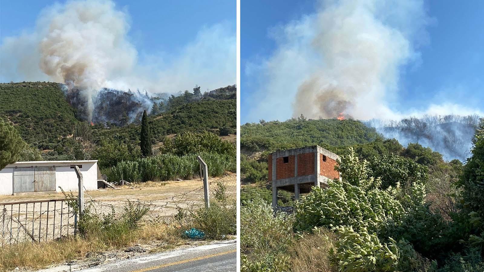 Aydın'da orman yangını 