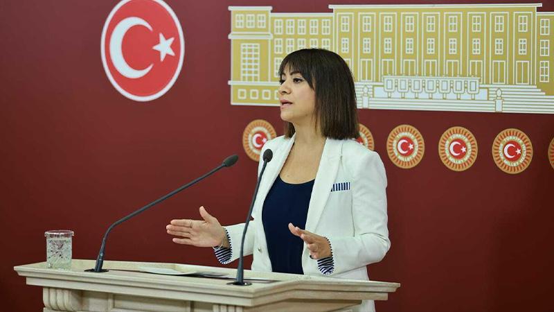 CHP'li Taşcıer: İktidarın market açar gibi eczacılık fakültesi açması artık halk sağlığı sorunu haline geldi  