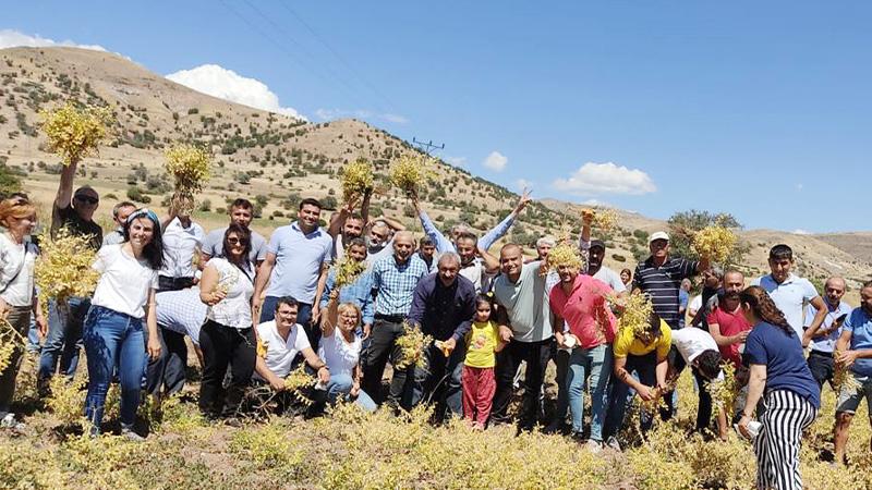 Tunceli Belediye Başkanı  Maçoğlu:  Herkes  topraklarına sahip çıksın;   bizi kurtaracak kendi ellerimizdir