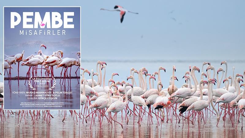 Pembe Misafirler Berlin Bağımsız Film Festivali'nde de ön elemeyi geçti