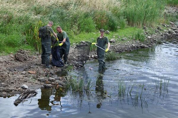 Polonya'daki Oder Nehri'nde 10 ton balık nedeni bilinmeyen bir şekilde öldü 