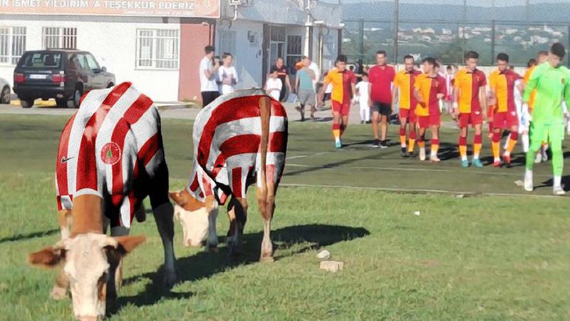 Ümraniyespor'dan gündem olan inek fotoğrafıyla ilgili açıklama 