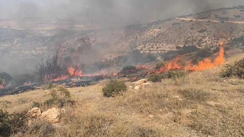 Gaziantep'te orman yangını