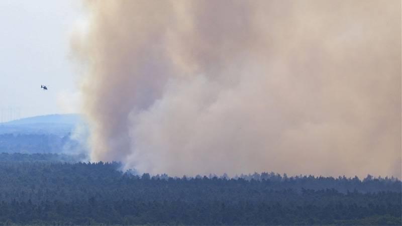 Almanya’daki Harz Dağları'nda çıkan orman yangınından dolayı acil durum kararı alındı.