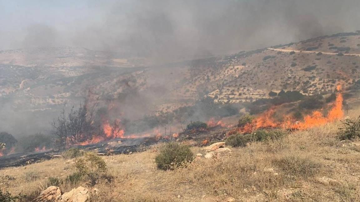 Gaziantep Nizip'te orman yangını