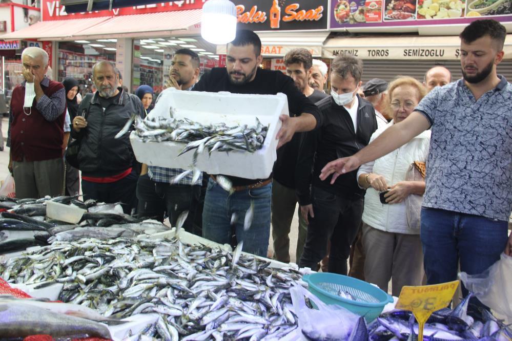 Havalar serinledi, palamut kendini gösterdi: Yaklaşık 1 kiloluk palamutlar 70 liradan satıldı