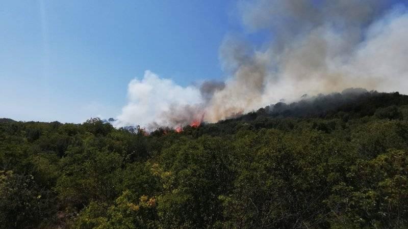 Antalya'da çıkan orman yangını kontrol altına alındı 