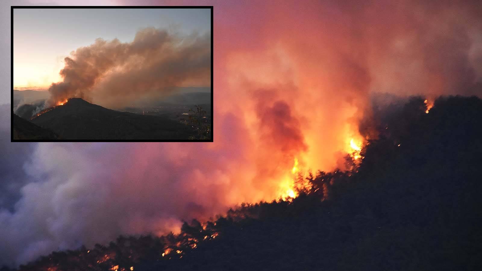 Muğla’daki orman yangını kontrol altına alındı: 50 hektar zarar gördü