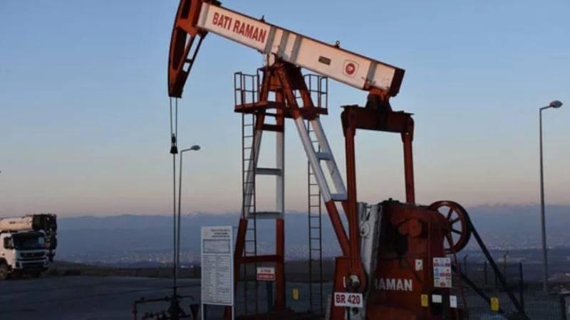 TPAO, Karadeniz'de petrol aramak için ruhsat başvurusu yaptı