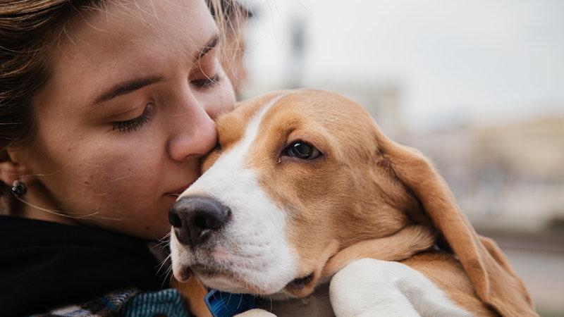 Araştırma: İnsanlar, köpeklerini kişilik özelliklerine göre seçiyor