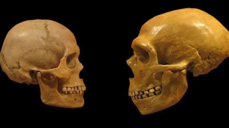 Araştırma: İlk Neandertal ailesi bulundu; Homo Sapiens’i akraba evliliğinin zayıflattığı ortaya çıktı