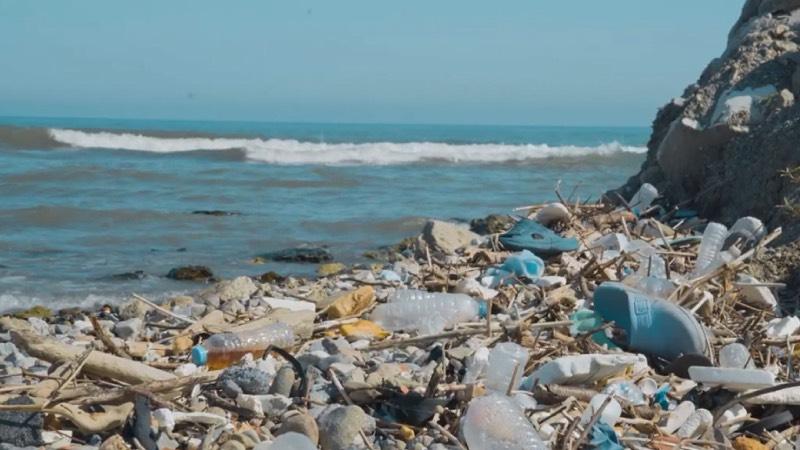 2 milimetreden küçük deniz canlısından da mikroplastik çıktı